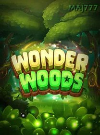 Wonder Woods icon